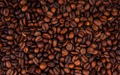 Café hoje: confira as cotações para sexta-feira (28)