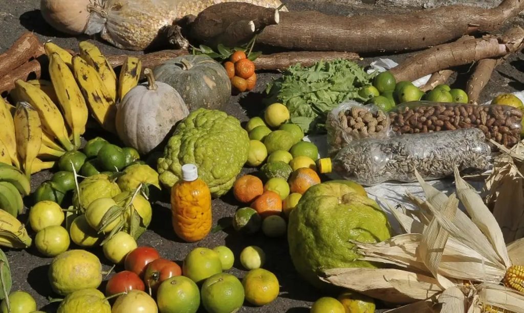 Prazo para adesão ao PAA termina em 19 de janeiro para municípios do Norte e Nordeste